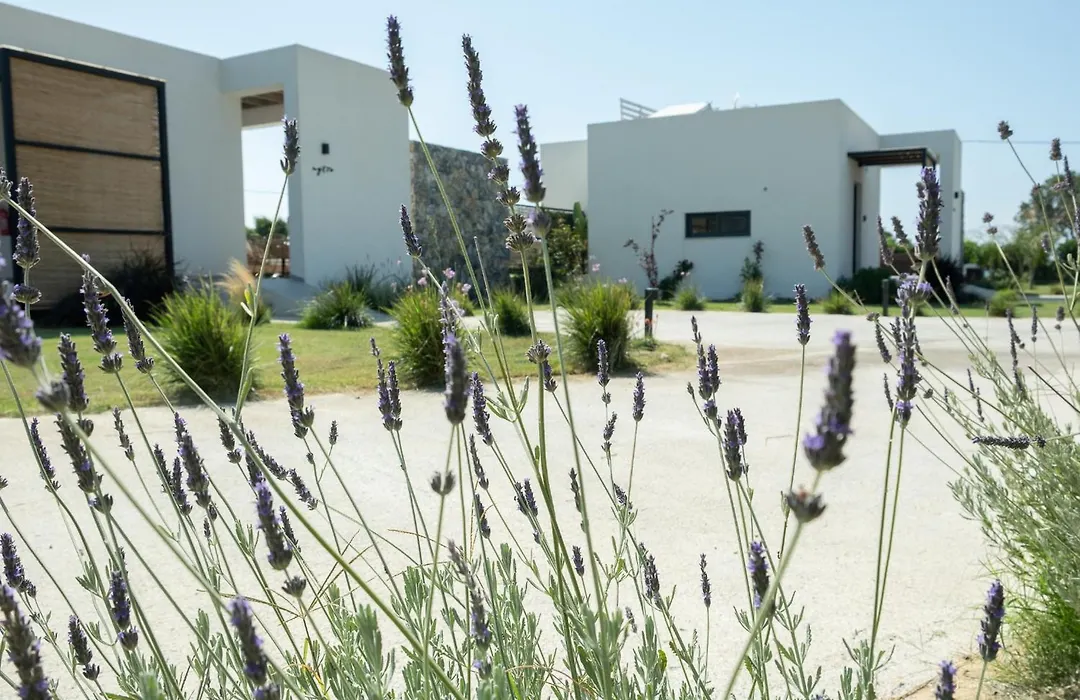 Aphrodite Luxury Villas & Suites-Private Heated Pool & Jacuzzi-1